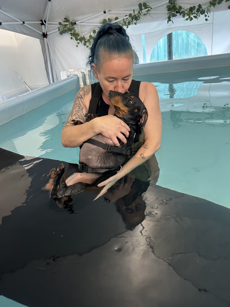 A groomer in the water holding a small dog as it swims, cropped wide from the portrait frame