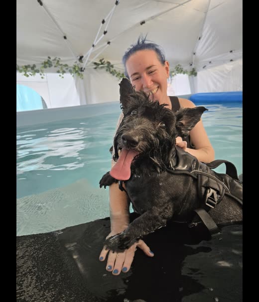 A dog in a swim harness held up in the pool, mouth open and happy, side bars cropped away
